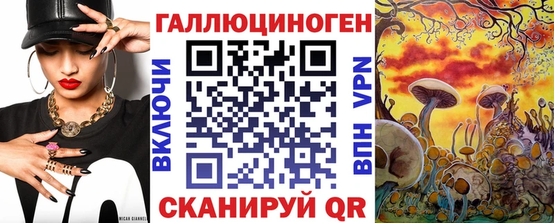 Галлюциногенные грибы прущие грибы MEGA маркетплейс Ивантеевка