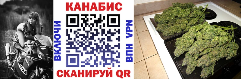 наркотики  Ивантеевка  kraken как зайти  Бошки Шишки сатива 